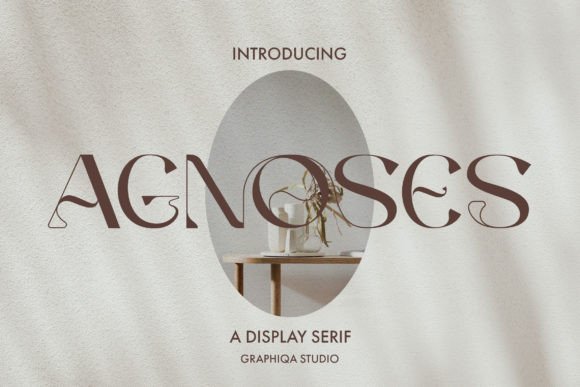 Agnoses: A Modern Font for Business