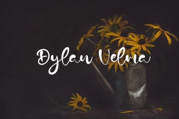 Dylan Velma: A Font for Business Brilliance