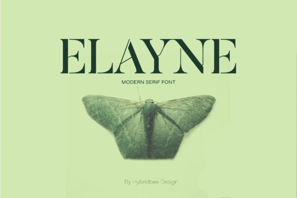 Elayne: A Stylish Serif for Web Design